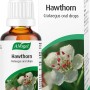 A.Vogel Hawthorn Oral Drops (50ml)