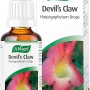 A.Vogel Devil's Claw Oral Drops (50ml)