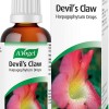 A.Vogel Devil's Claw Oral Drops (100ml)