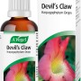 A.Vogel Devil's Claw Oral Drops (100ml)