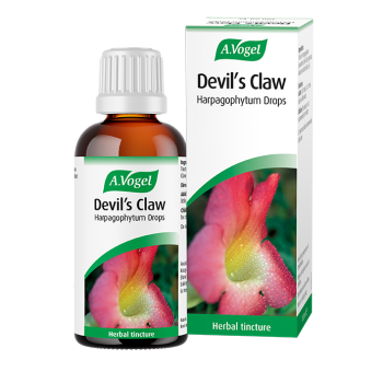 Devils claw oral drop (50mls)