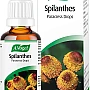 A.Vogel Spilanthes Paracress Drops (50ml)