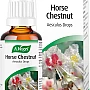 A.Vogel Horse Chestnut (50ml)