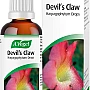 A.Vogel Devil's Claw Oral Drops (100ml)