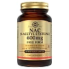 Solgar NAC (N-Acetyl-L-Cysteine) 600mg Vegetable Capsules (60)