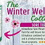 A.Vogel Echinaforce Sore Throat Spray (100 ml)