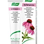 A.Vogel Echinacea Cream (35g)